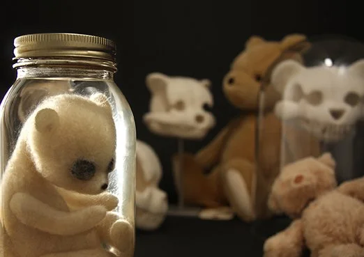 Teddy Bear Unnatural History Cards and Envelopes — Stephanie Metz